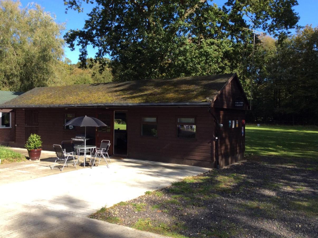 The Firs Villa Ashford  Exterior foto